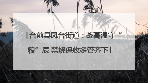 台前县凤台街道：战高温守“粮”辰 禁烧保收多管齐下