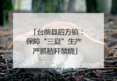 台前县后方镇：保障“三夏”生产 严抓秸秆禁烧