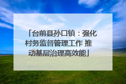 台前县孙口镇：强化村务监督管理工作 推动基层治理高效能