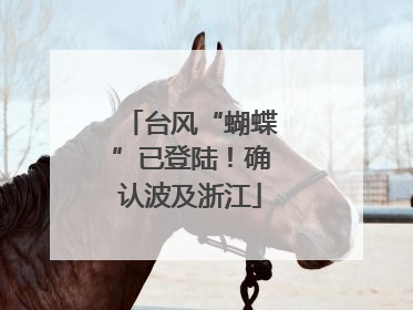 台风“蝴蝶”已登陆！确认波及浙江