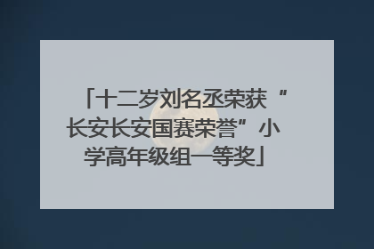 十二岁刘名丞荣获“长安长安国赛荣誉”小学高年级组一等奖