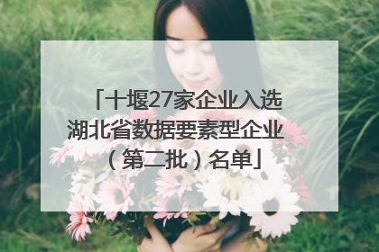 十堰27家企业入选湖北省数据要素型企业（第二批）名单