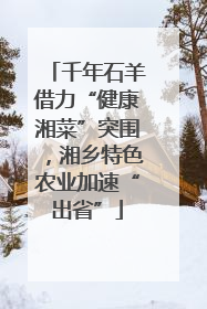 千年石羊借力“健康湘菜”突围，湘乡特色农业加速“出省”