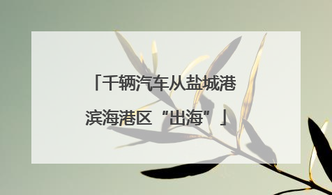 千辆汽车从盐城港滨海港区“出海”