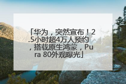 华为，突然宣布！2.5小时超4万人预约，搭载原生鸿蒙，Pura 80外观曝光
