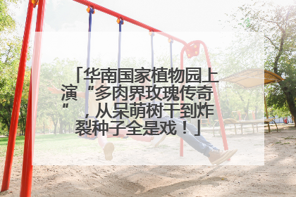 华南国家植物园上演“多肉界玫瑰传奇”，从呆萌树干到炸裂种子全是戏！