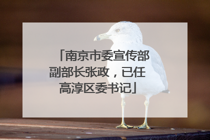 南京市委宣传部副部长张政，已任高淳区委书记