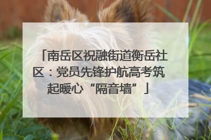 南岳区祝融街道衡岳社区：党员先锋护航高考筑起暖心“隔音墙”