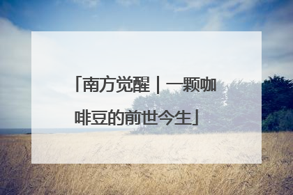 南方觉醒｜一颗咖啡豆的前世今生