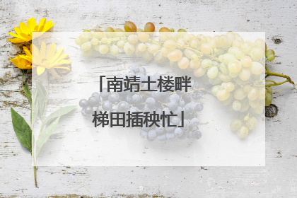 南靖土楼畔 梯田插秧忙