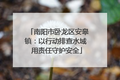 南阳市卧龙区安皋镇：以行动排查水域 用责任守护安全