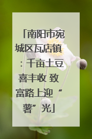 南阳市宛城区瓦店镇：千亩土豆喜丰收 致富路上迎“薯”光