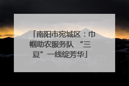 南阳市宛城区：巾帼助农服务队 “三夏”一线绽芳华