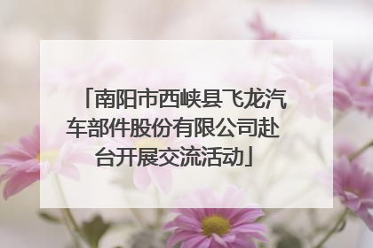 南阳市西峡县飞龙汽车部件股份有限公司赴台开展交流活动