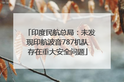 印度民航总局：未发现印航波音787机队存在重大安全问题