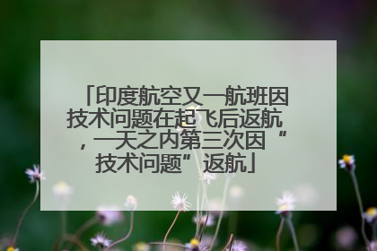印度航空又一航班因技术问题在起飞后返航，一天之内第三次因“技术问题”返航