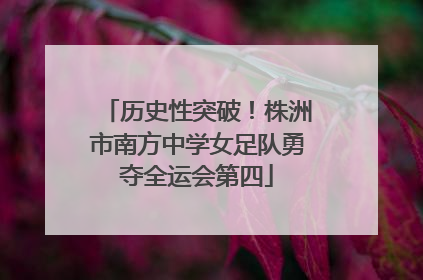 历史性突破！株洲市南方中学女足队勇夺全运会第四