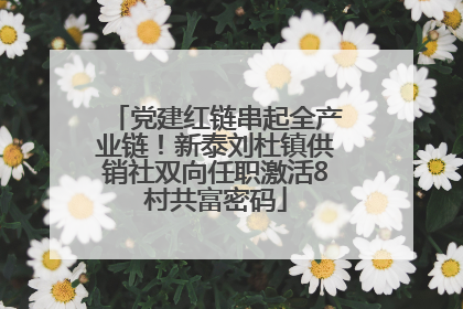 党建红链串起全产业链！新泰刘杜镇供销社双向任职激活8村共富密码