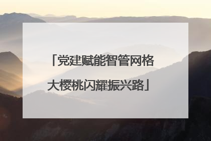 党建赋能智管网格 大樱桃闪耀振兴路