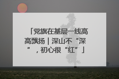 党旗在基层一线高高飘扬｜深山不“深”，初心很“红”