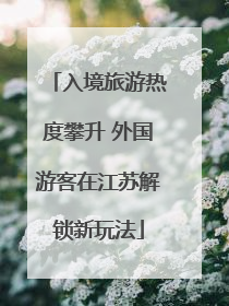入境旅游热度攀升 外国游客在江苏解锁新玩法