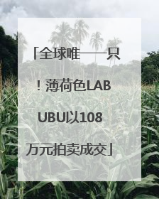 全球唯一一只！薄荷色LABUBU以108万元拍卖成交