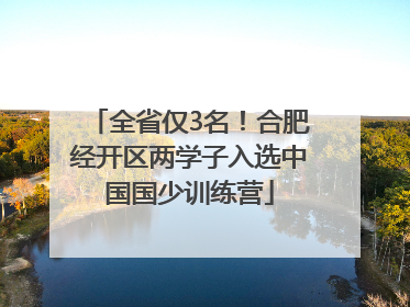 全省仅3名！合肥经开区两学子入选中国国少训练营
