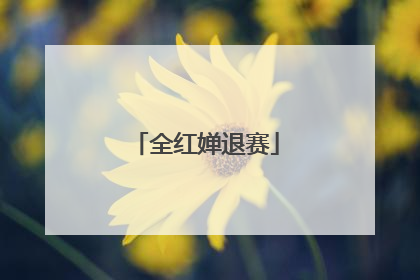 全红婵退赛