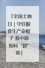 全国土地日｜守住粮食生产命根子 看中原如何“耕”新