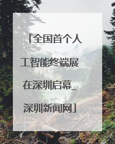全国首个人工智能终端展在深圳启幕_深圳新闻网