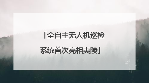 全自主无人机巡检系统首次亮相夷陵