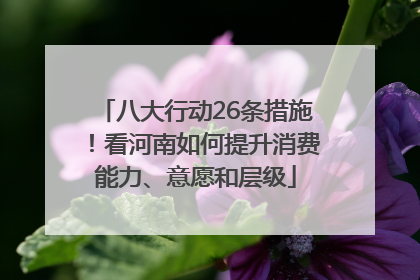 八大行动26条措施！看河南如何提升消费能力、意愿和层级