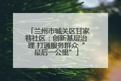 兰州市城关区甘家巷社区：创新基层治理 打通服务群众“最后一公里”