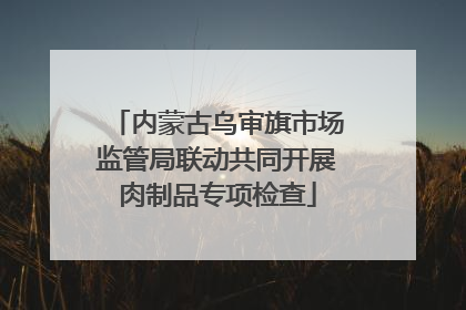 内蒙古乌审旗市场监管局联动共同开展肉制品专项检查