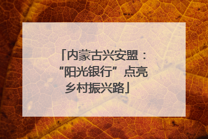 内蒙古兴安盟：“阳光银行”点亮乡村振兴路