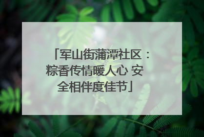 军山街蒲潭社区：粽香传情暖人心 安全相伴度佳节