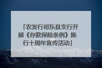 农发行祁东县支行开展《存款保险条例》施行十周年宣传活动