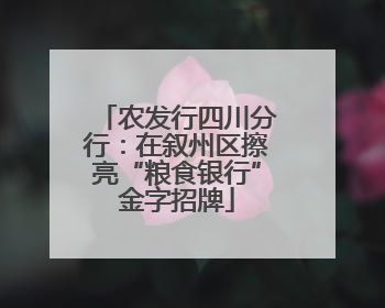 农发行四川分行：在叙州区擦亮“粮食银行”金字招牌