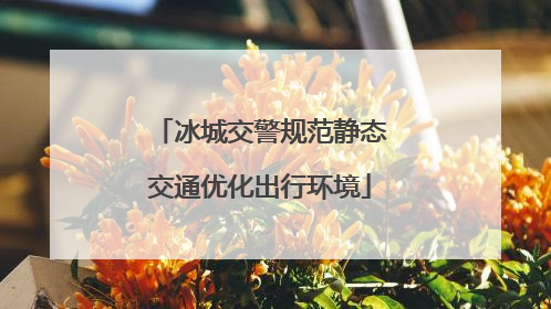 冰城交警规范静态交通优化出行环境