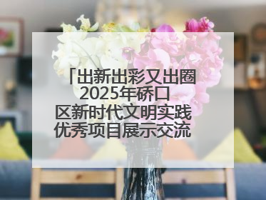 出新出彩又出圈 2025年硚口区新时代文明实践优秀项目展示交流活动举行