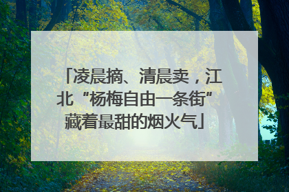 凌晨摘、清晨卖，江北“杨梅自由一条街”藏着最甜的烟火气