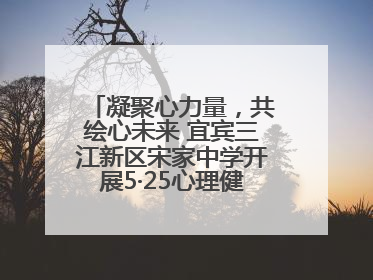 凝聚心力量，共绘心未来 宜宾三江新区宋家中学开展5·25心理健康月活动