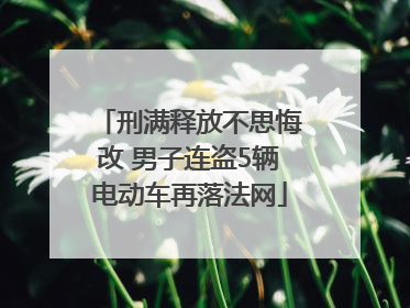 刑满释放不思悔改 男子连盗5辆电动车再落法网