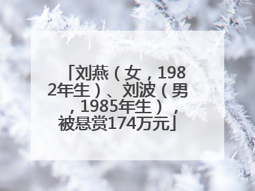 刘燕（女，1982年生）、刘波（男，1985年生），被悬赏174万元