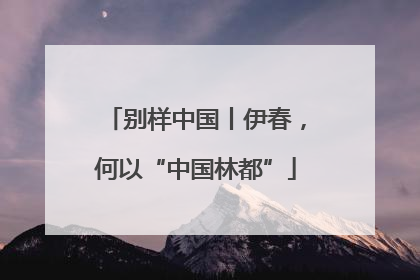 别样中国丨伊春，何以“中国林都”