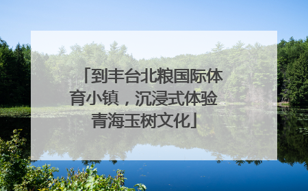 到丰台北粮国际体育小镇，沉浸式体验青海玉树文化
