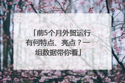 前5个月外贸运行有何特点、亮点？一组数据带你看