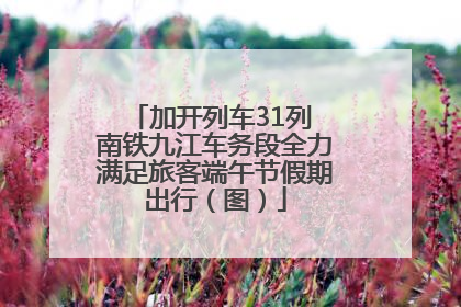 加开列车31列 南铁九江车务段全力满足旅客端午节假期出行（图）