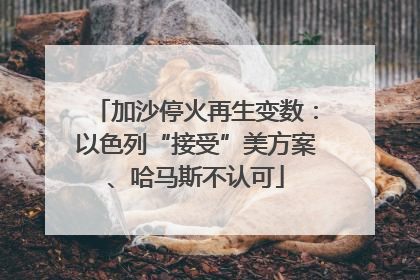 加沙停火再生变数：以色列“接受”美方案、哈马斯不认可
