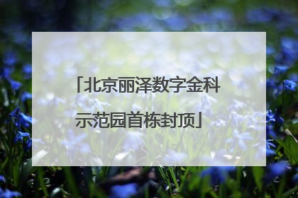 北京丽泽数字金科示范园首栋封顶